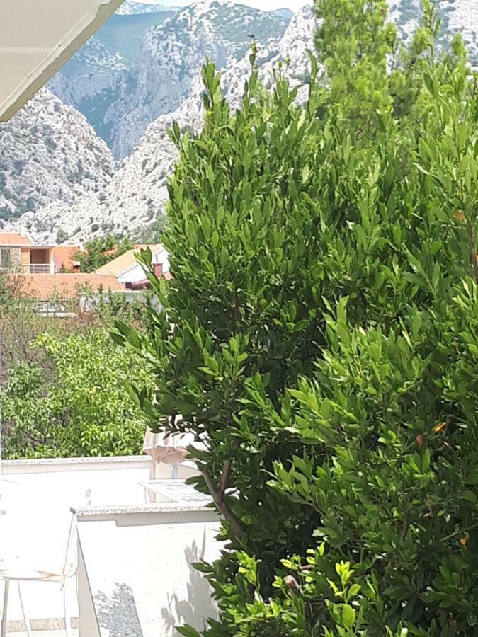 Apartmani Korina Starigrad Paklenica Esterno foto