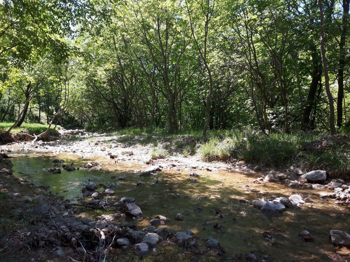 Apartmani Korina Starigrad Paklenica Esterno foto